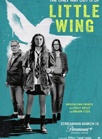 دانلود فیلم Little Wing