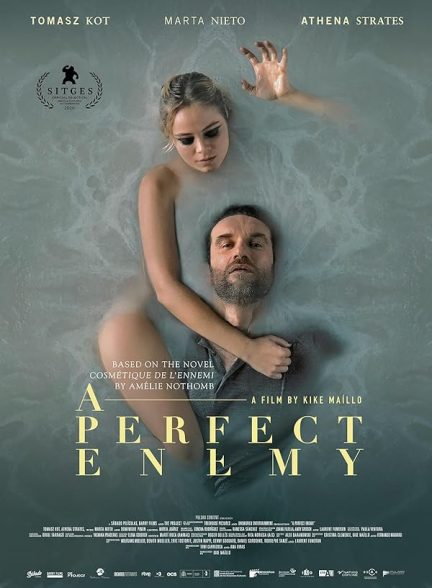 دانلود فیلم A Perfect Enemy