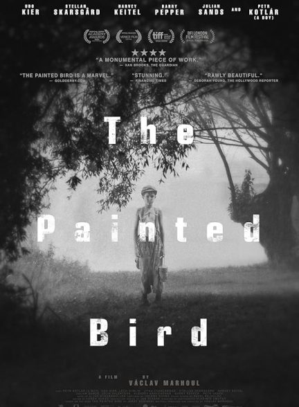 دانلود فیلم The Painted Bird