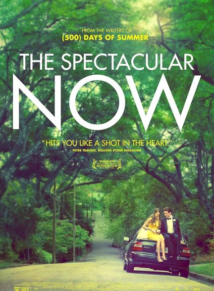 دانلود فیلم The Spectacular Now