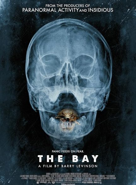 دانلود فیلم The Bay