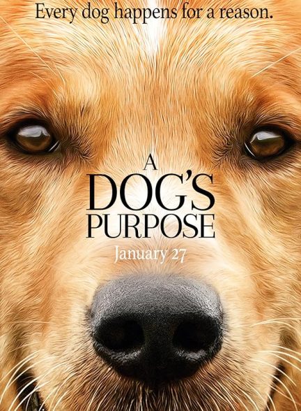 دانلود فیلم A Dog’s Purpose