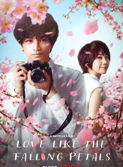 دانلود فیلم Love Like the Falling Petals