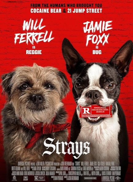 دانلود فیلم Strays