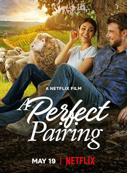 دانلود فیلم A Perfect Pairing