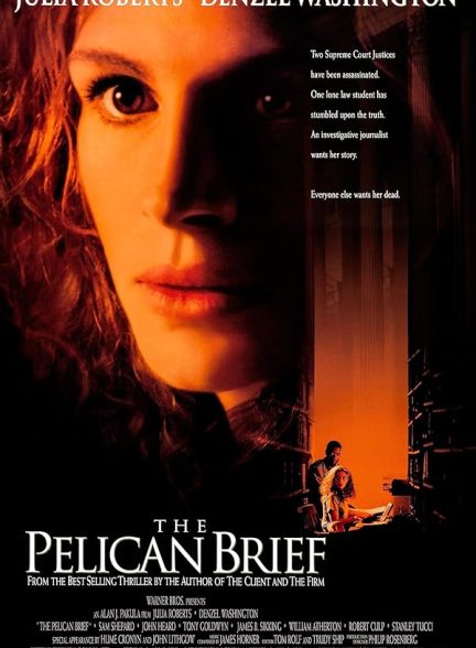 دانلود فیلم The Pelican Brief