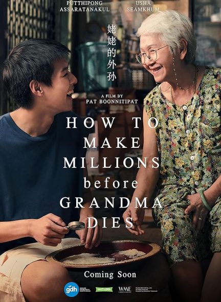 دانلود فیلم How to Make Millions Before Grandma Dies